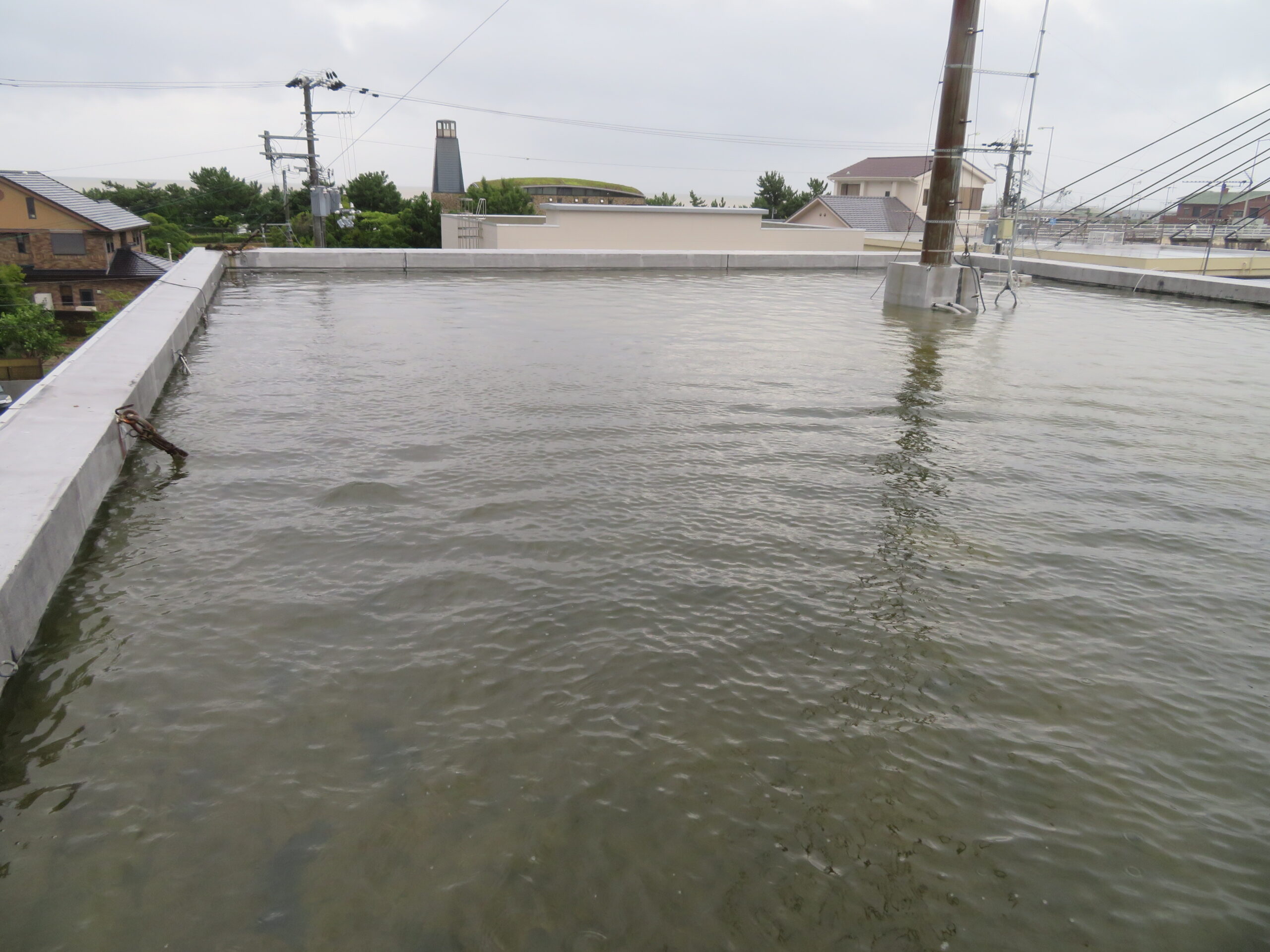 大雨後、まるでプールのようになった屋上の様子。