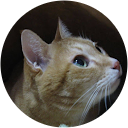 小林規男 小林規男