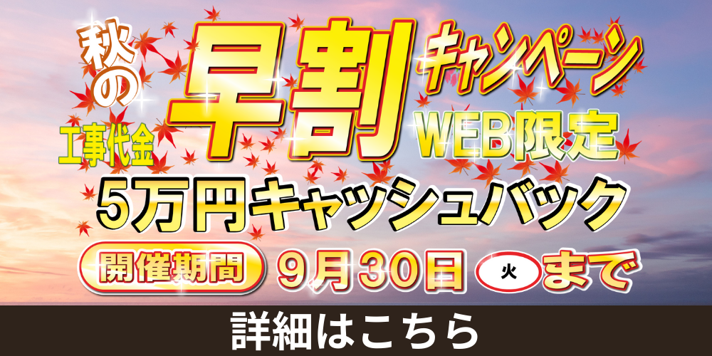 WEBキャンペーン