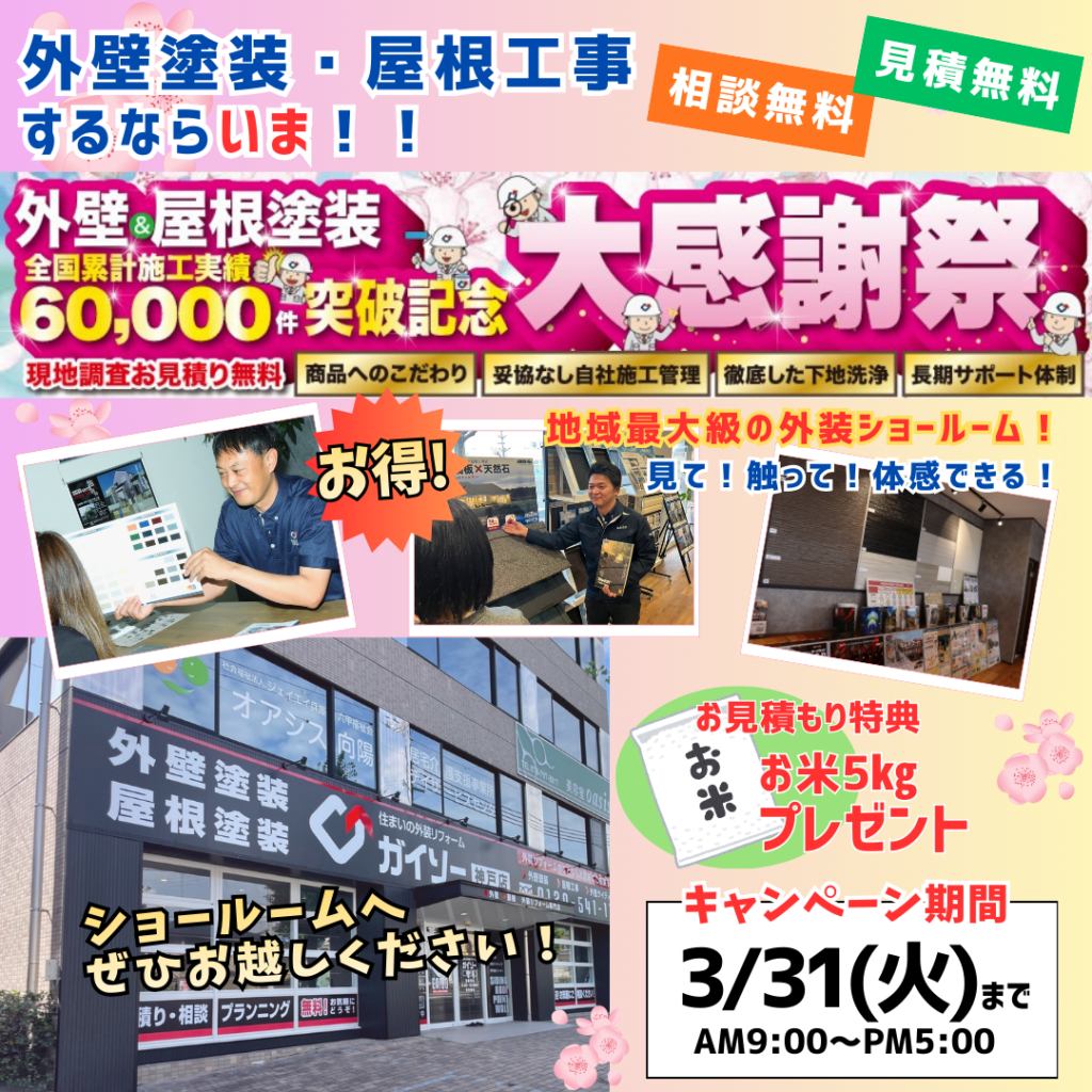 最新チラシ情報